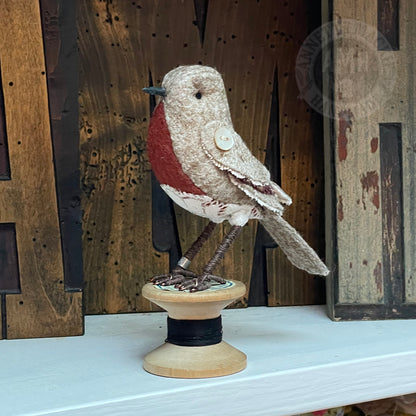 Mini robin on vintage reel